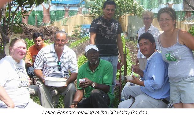 Latino Farmers