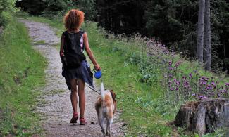 Woman and dog walking down a forest path.