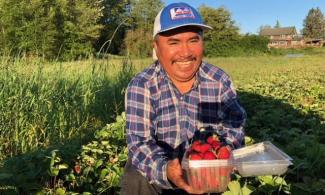 Worker-owner of Cooperativa Tierra Y Libertad standing in a stawberry field, holding a box of strawberries.