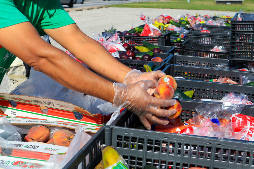 A volunteer with 4DWN Project prepares produce to be distributed. Credit: 4DWN Project