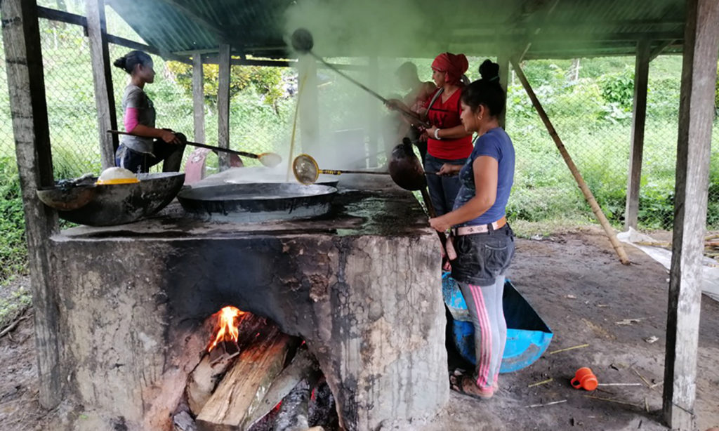 Production of sugar cane in the community.