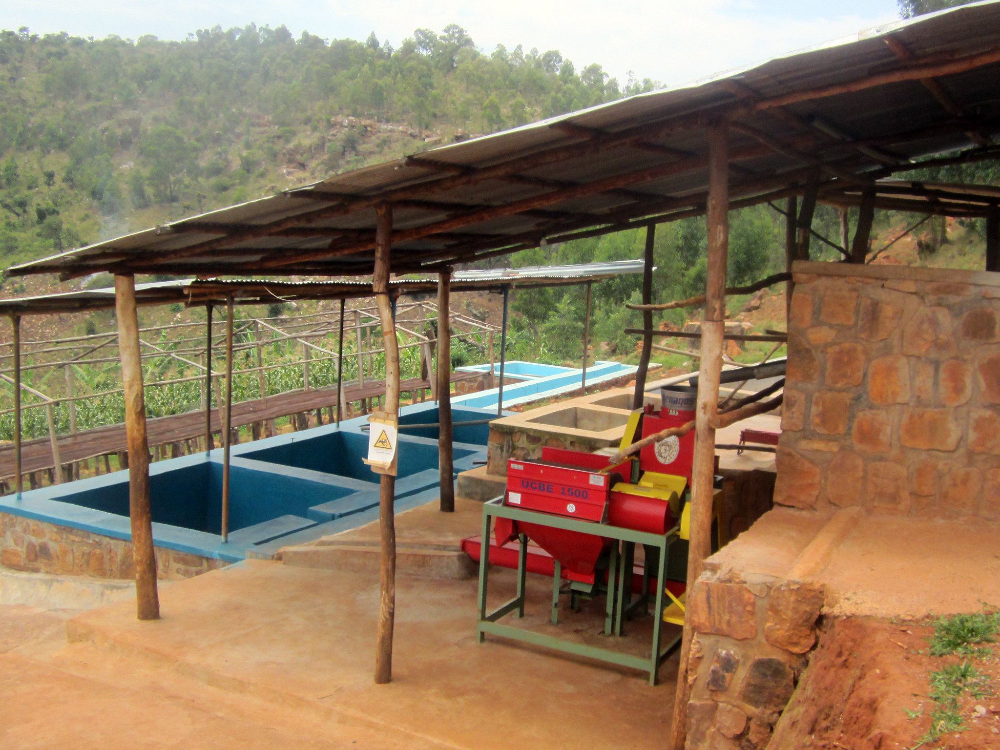 Coffee Washing Station