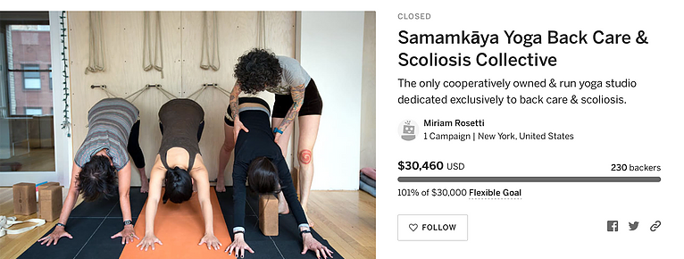Indiegogo campaign in 2014