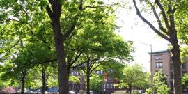 Marcus Garvey Memorial Park.