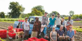 Digger's Mirth cooperative farm