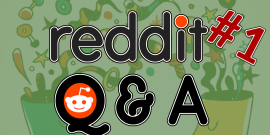 ""
