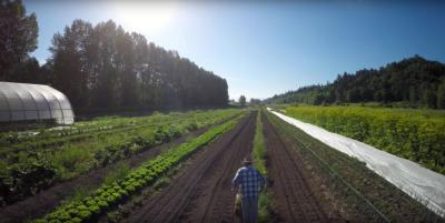 Glen Valley Organic Farm