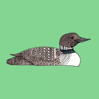 Image courtesy of the Great Lakes Commons