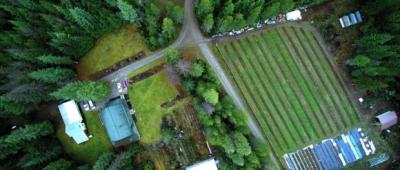 Turtle Island Cooperative Farm and Research Center
